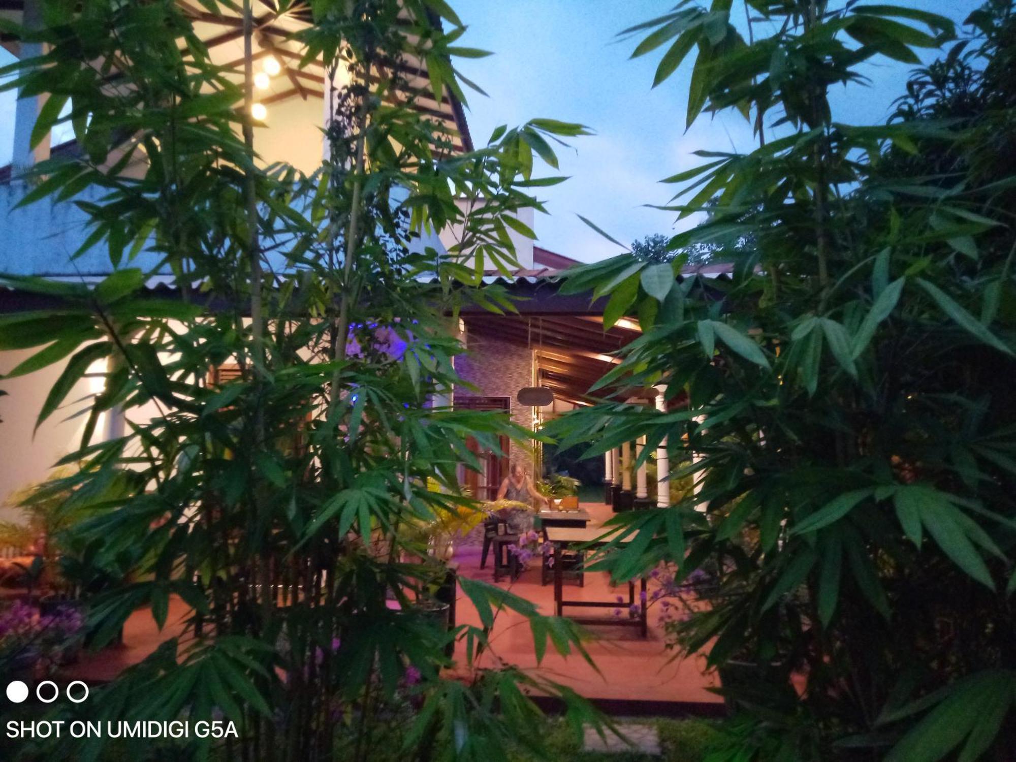 Nature World Jungle Paradise 우다왈라웨 외부 사진