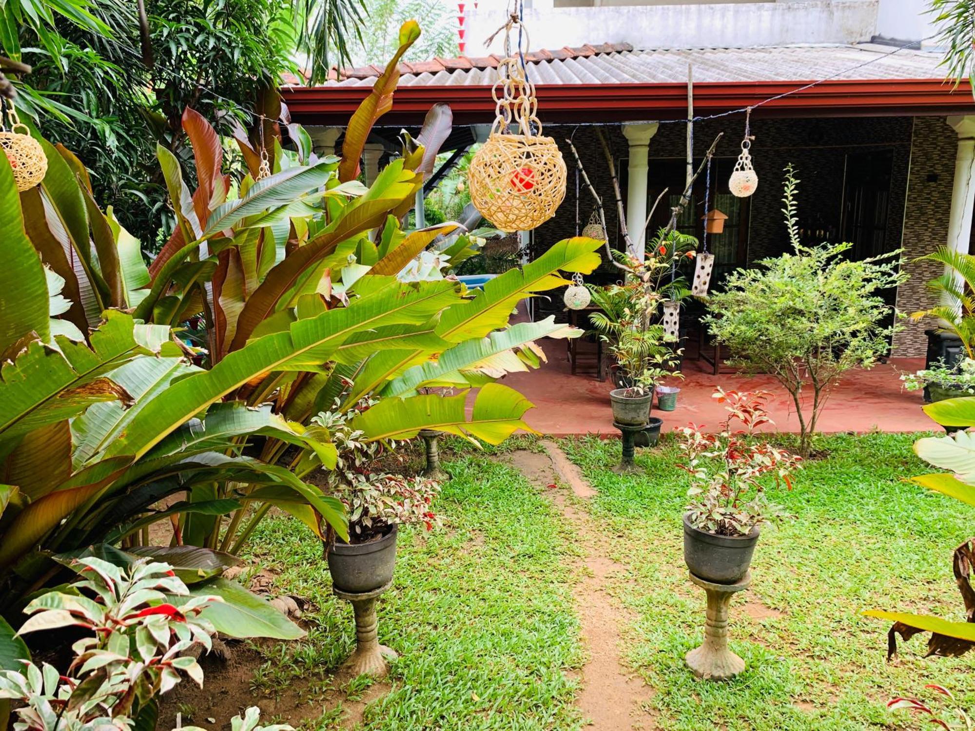 Nature World Jungle Paradise 우다왈라웨 외부 사진