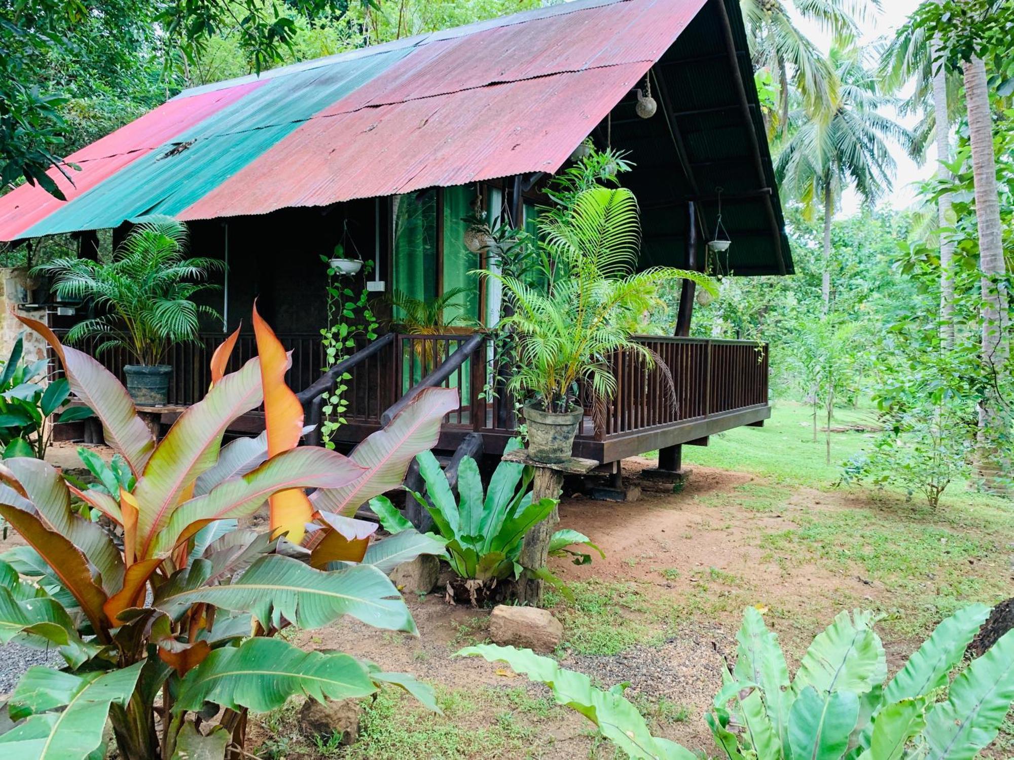 Nature World Jungle Paradise 우다왈라웨 객실 사진