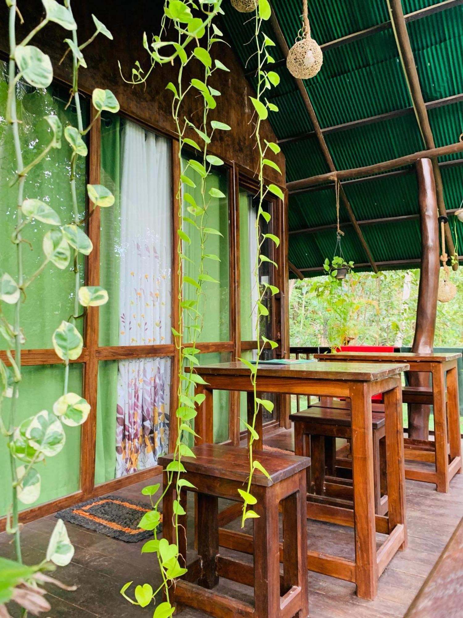 Nature World Jungle Paradise 우다왈라웨 객실 사진