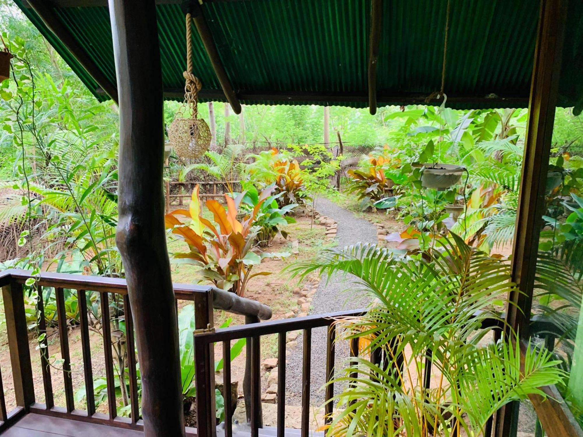 Nature World Jungle Paradise 우다왈라웨 객실 사진