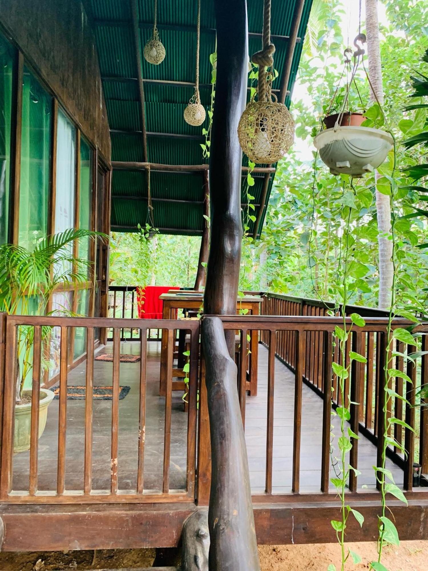 Nature World Jungle Paradise 우다왈라웨 객실 사진