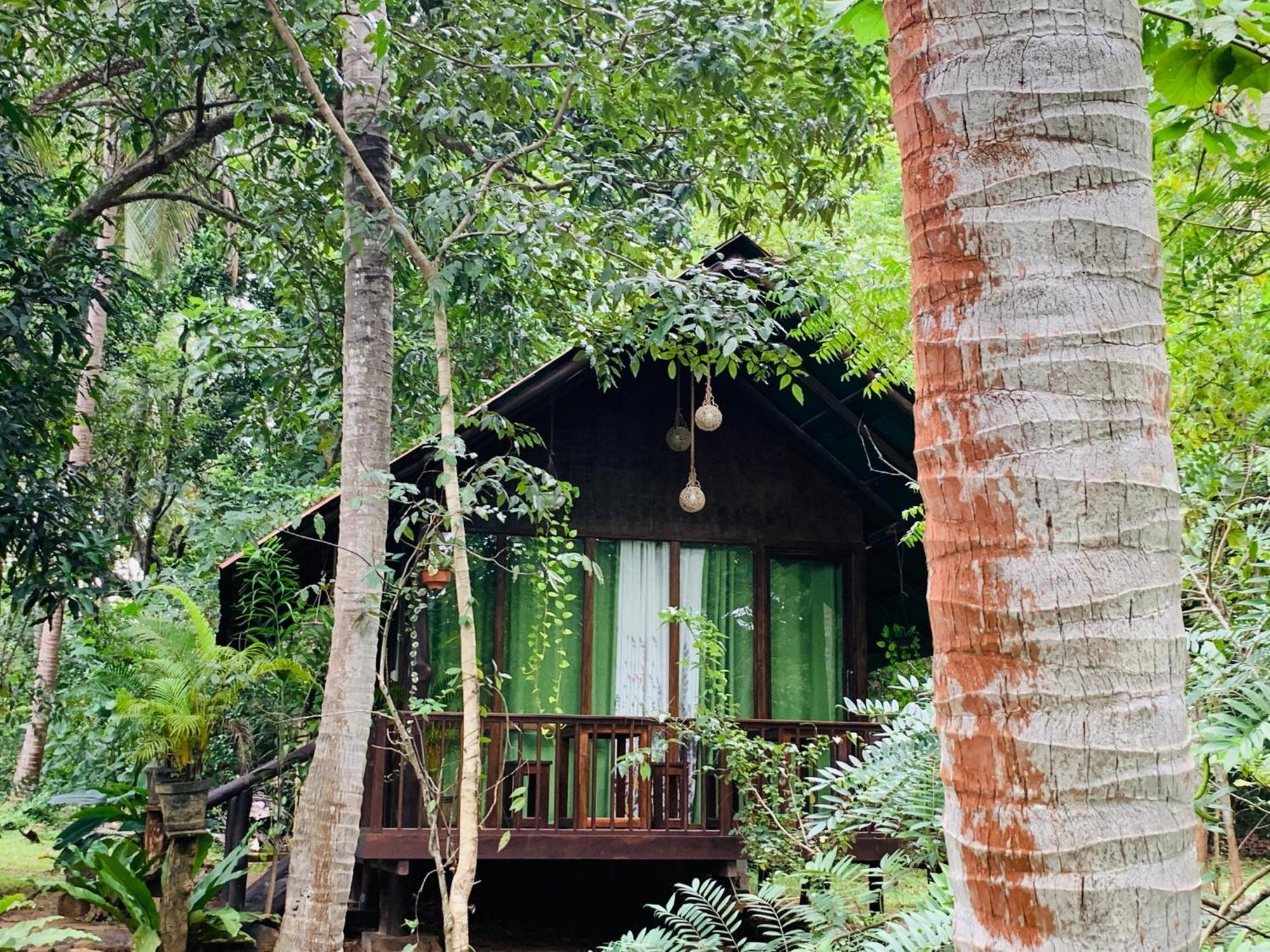 Nature World Jungle Paradise 우다왈라웨 외부 사진