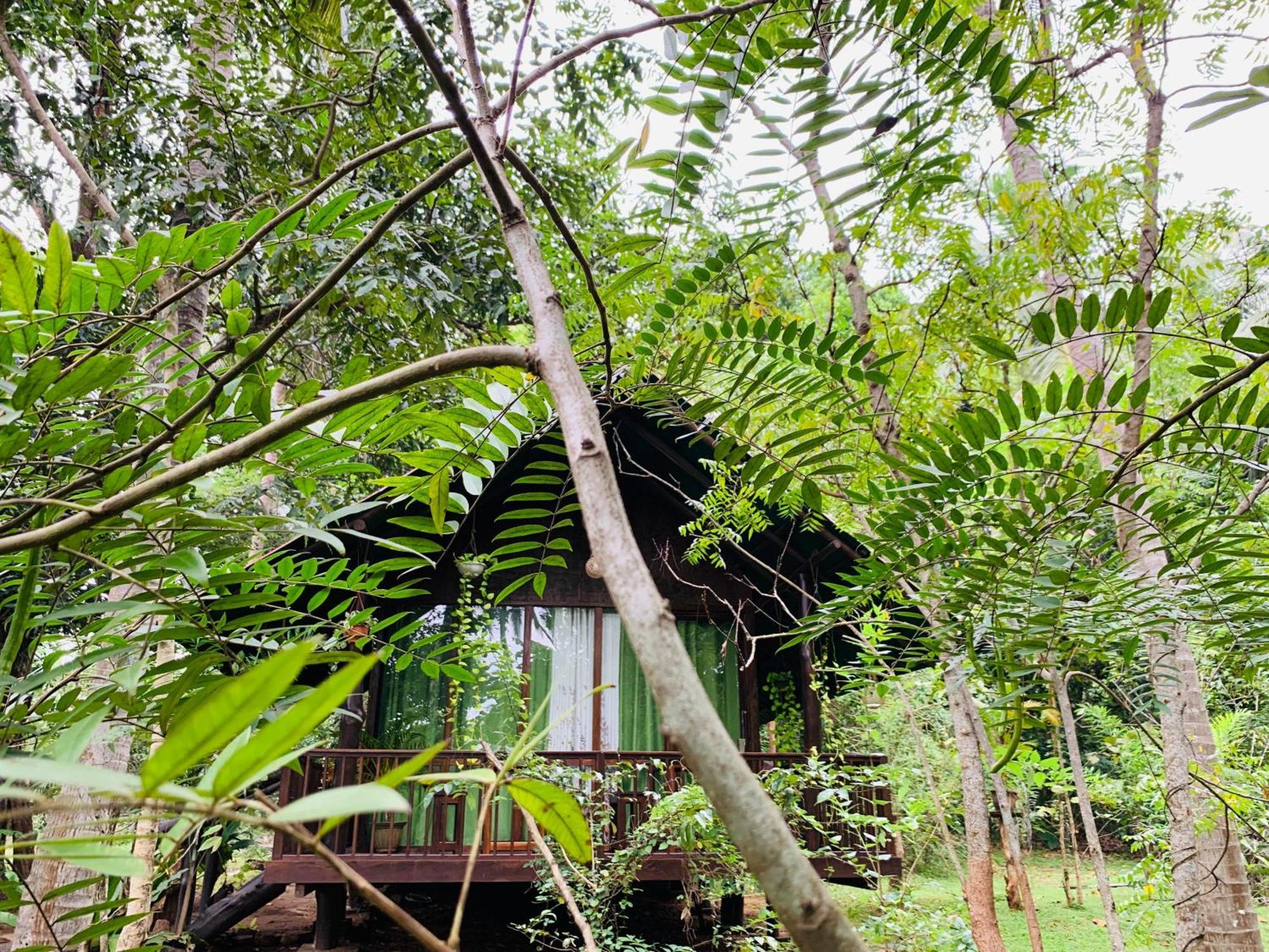 Nature World Jungle Paradise 우다왈라웨 외부 사진