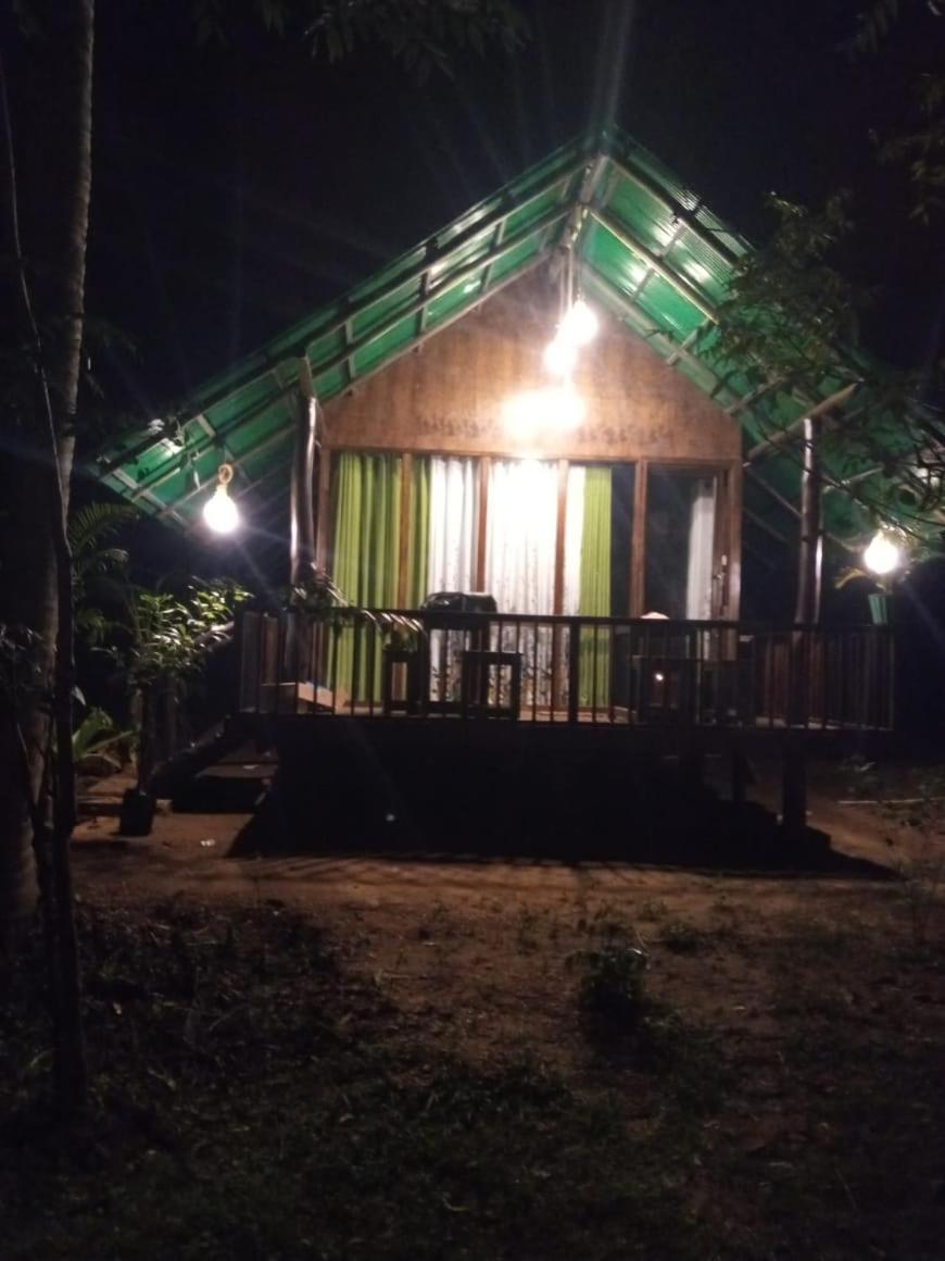 Nature World Jungle Paradise 우다왈라웨 외부 사진